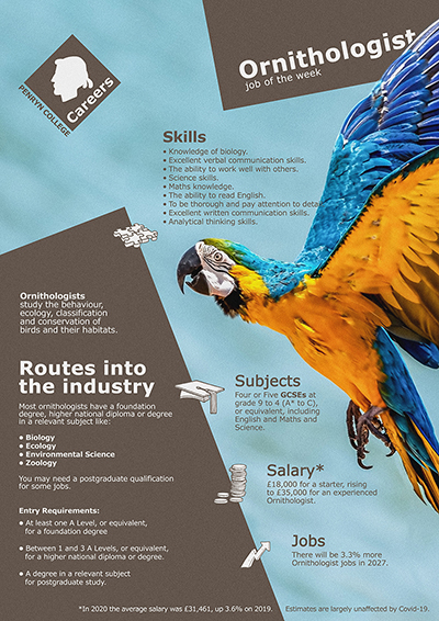 Ornithologist job poster